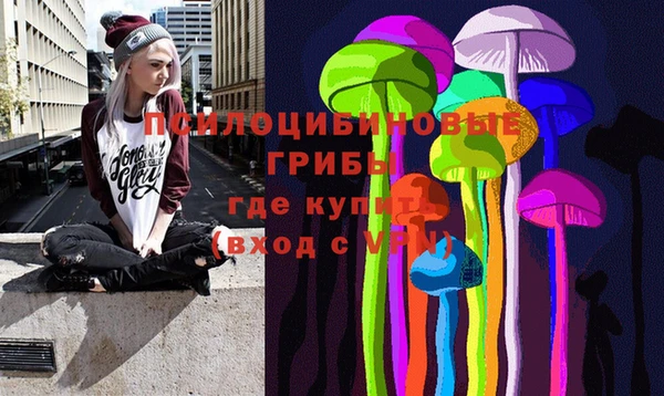 шишки Богданович